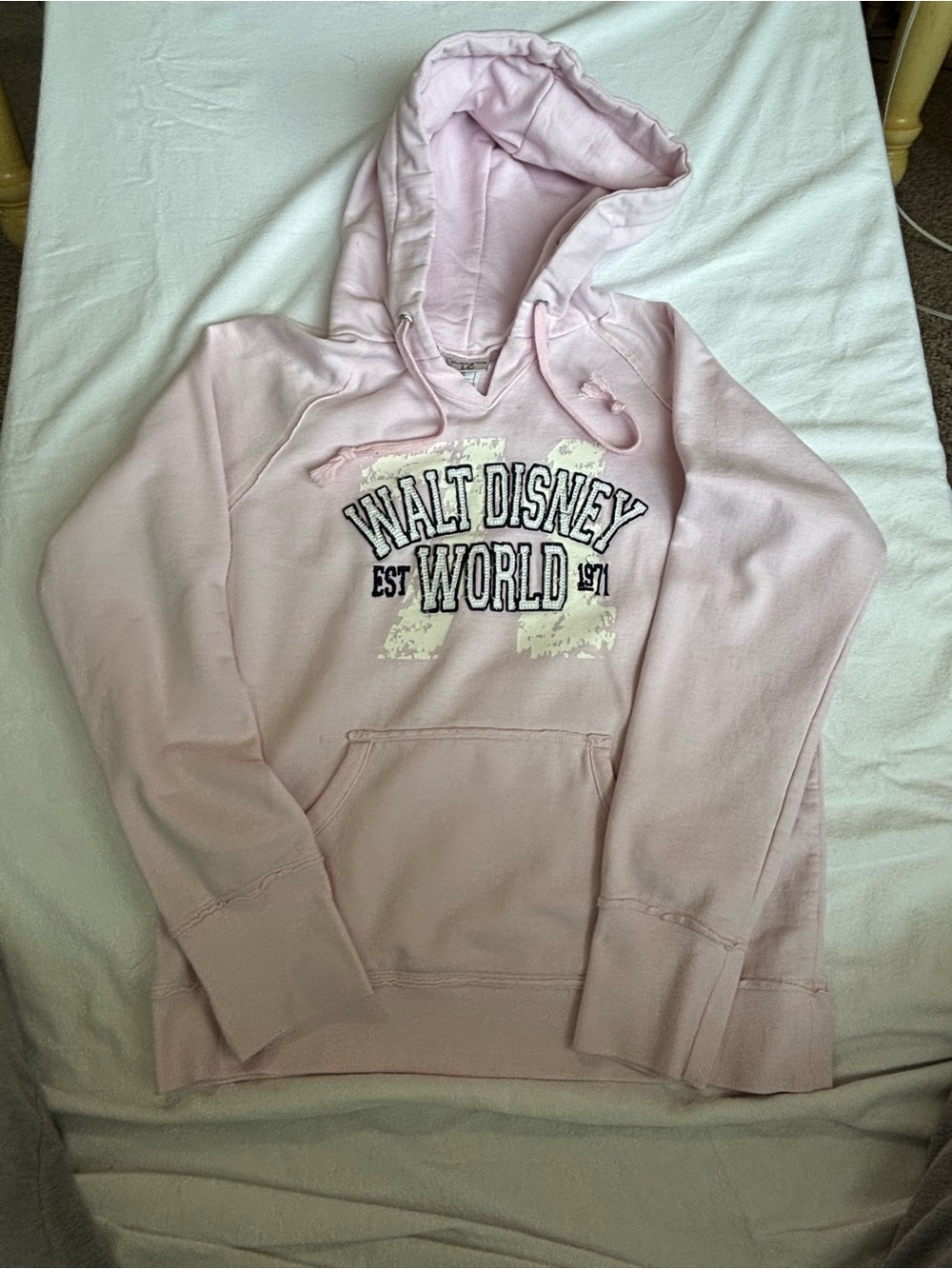 Disney Light Pink Walt Disney World Hoodie Sweatshirt